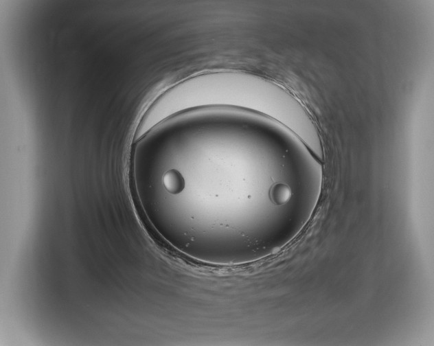 X0000112950003200908311519