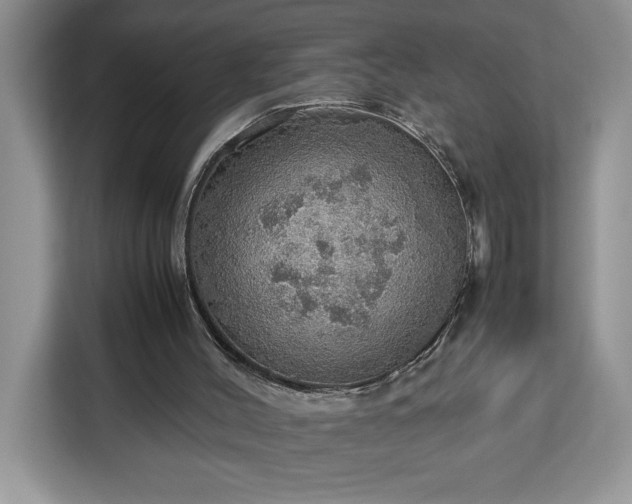 X0000112950004200908311519