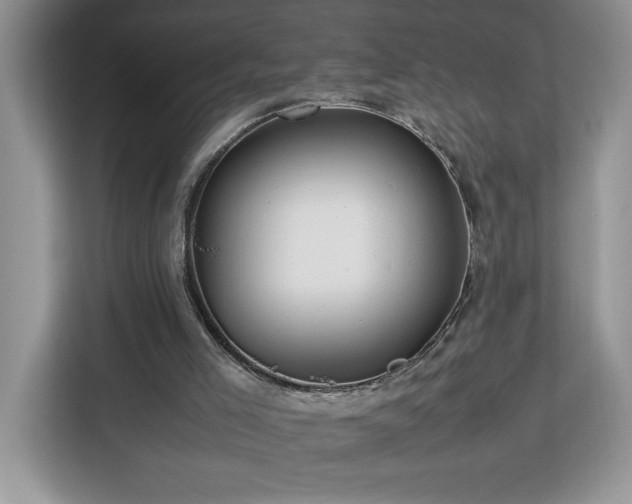 X0000112950005200908311519