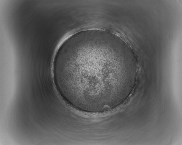 X0000112950006200908311519