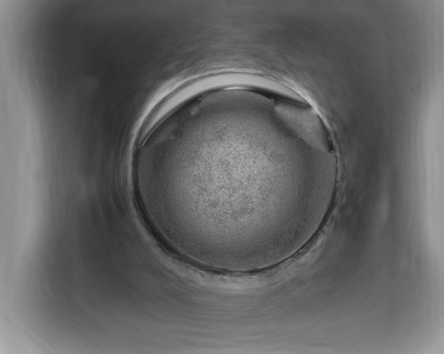 X0000112950008200908311518