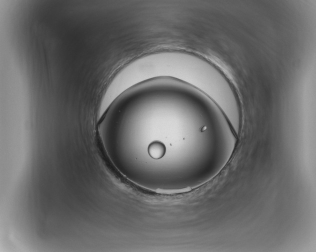 X0000112950009200908311518