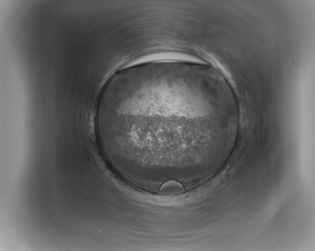 X0000112950010200908311518