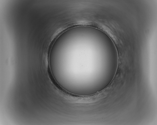 X0000112950011200908311518