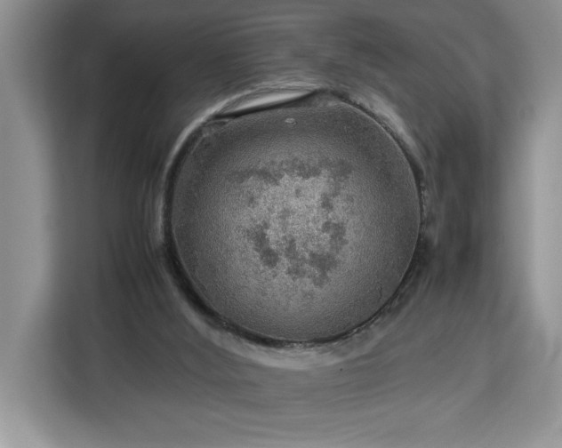 X0000112950012200908311518