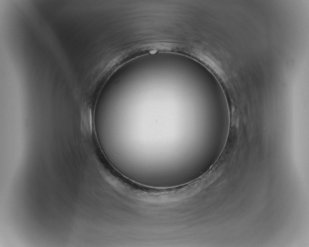 X0000112950013200908311518