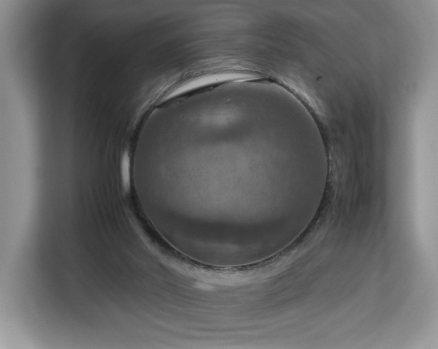 X0000112950014200908311518