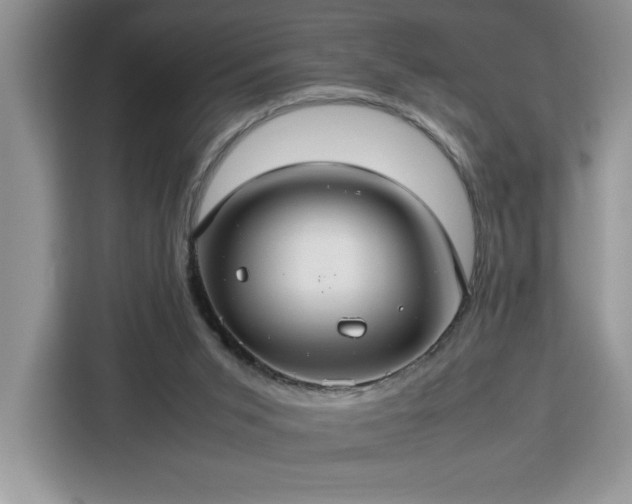 X0000112950015200908311518