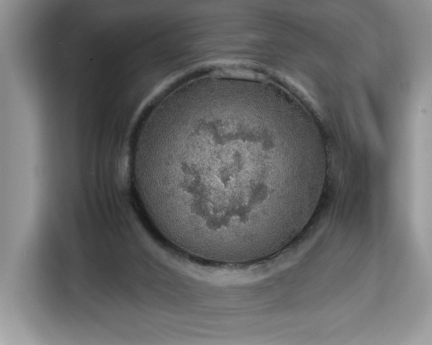 X0000112950016200908311518