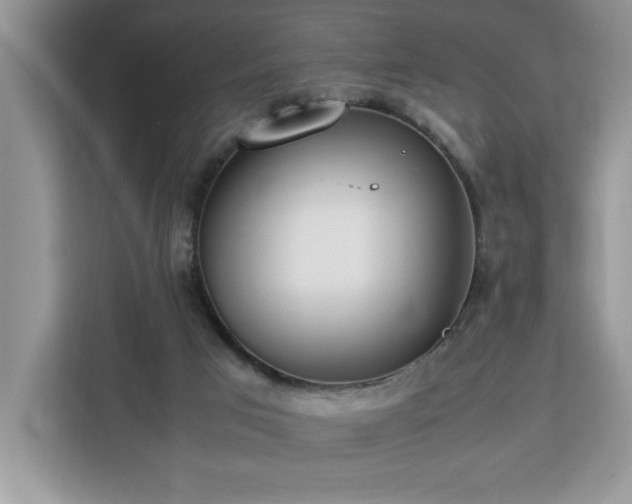 X0000112950017200908311518