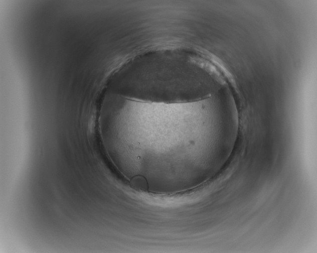 X0000112950018200908311518