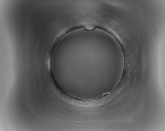 X0000112950019200908311518