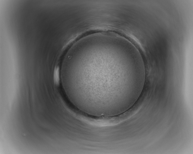 X0000112950020200908311518