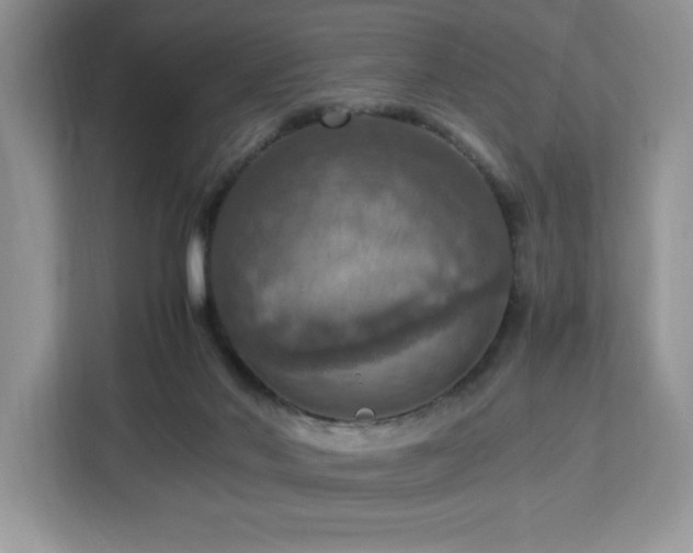 X0000112950022200908311518