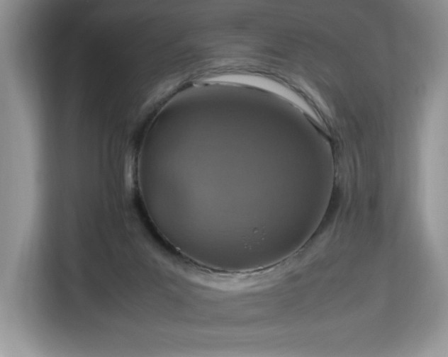 X0000112950023200908311518