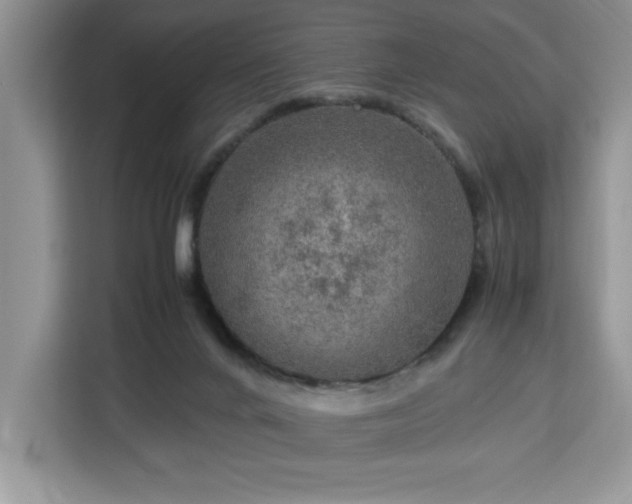 X0000112950024200908311518