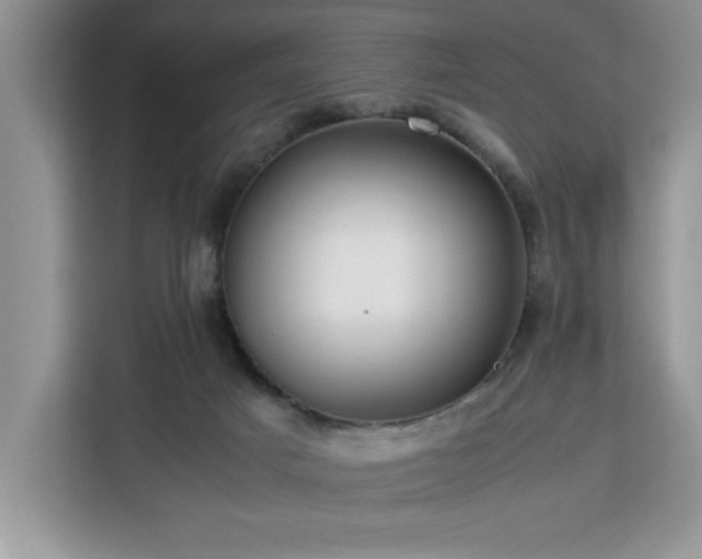 X0000112950025200908311518