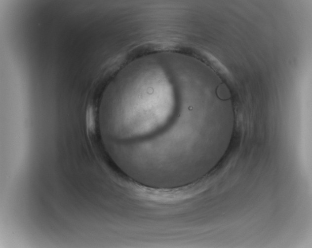 X0000112950026200908311518