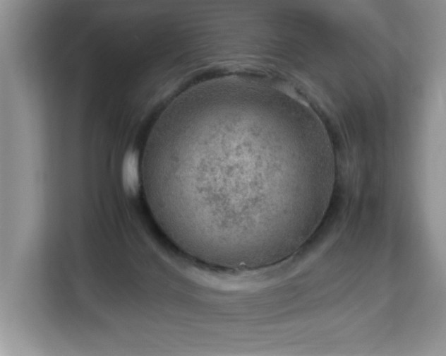 X0000112950028200908311518