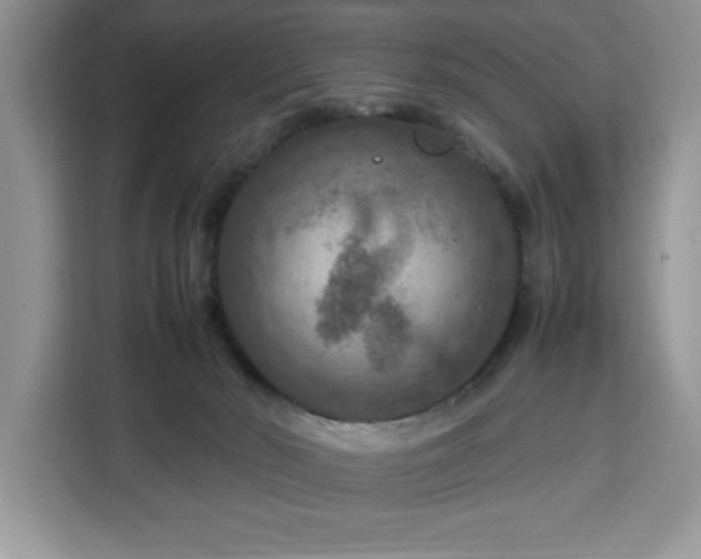 X0000112950030200908311518