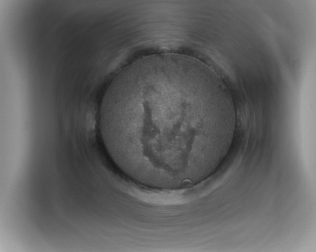 X0000112950032200908311518