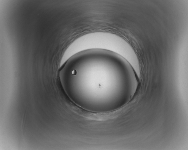 X0000112950033200908311518