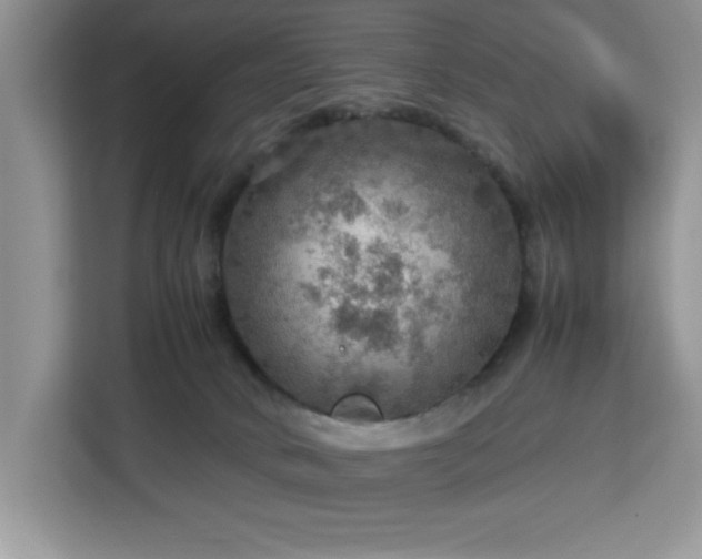 X0000112950034200908311518