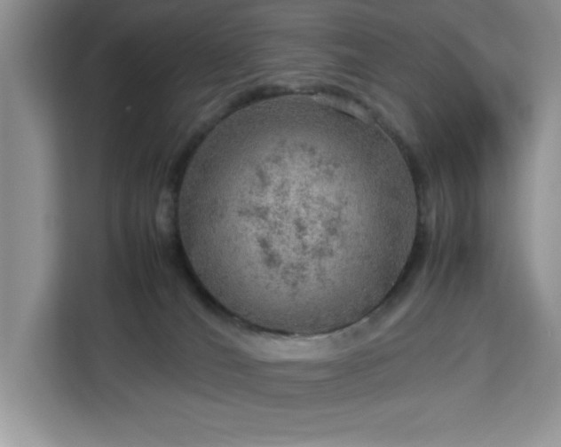 X0000112950036200908311518