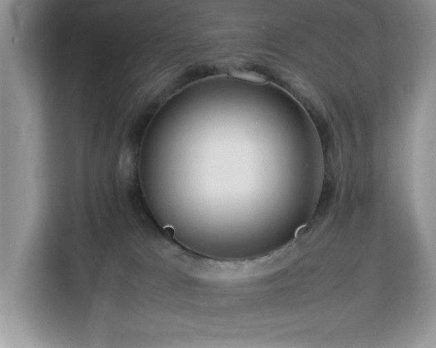 X0000112950037200908311518