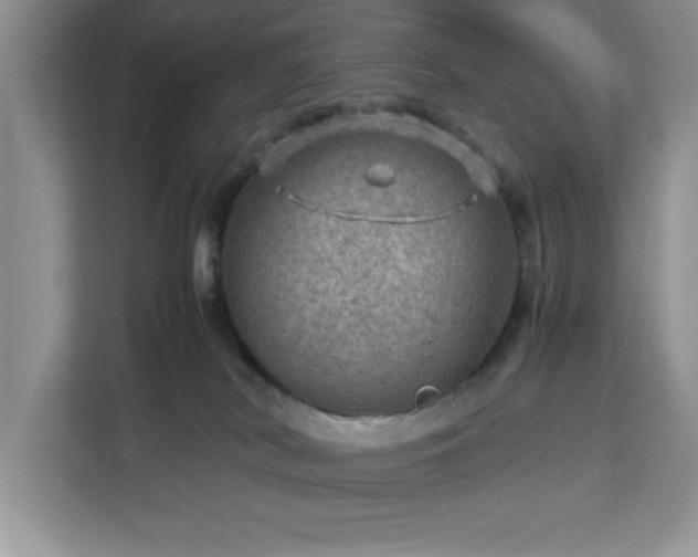 X0000112950038200908311518