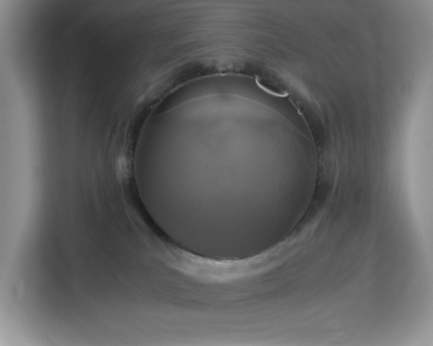 X0000112950039200908311518