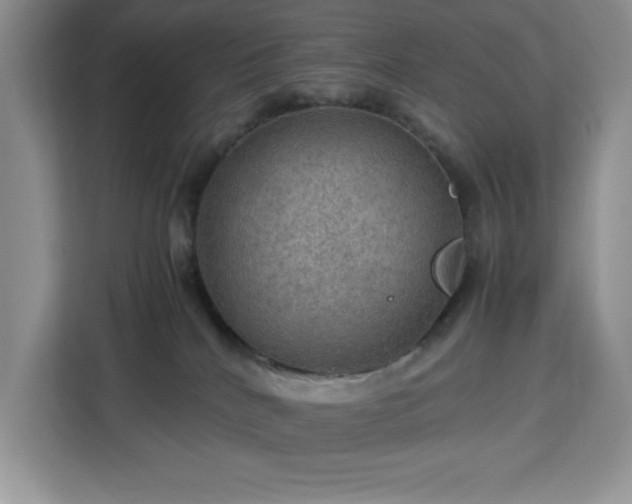 X0000112950040200908311518