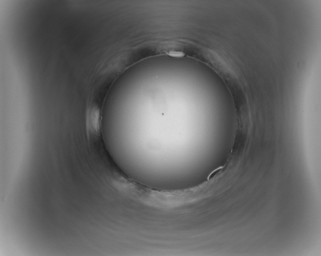 X0000112950041200908311518