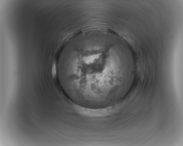 X0000112950042200908311518