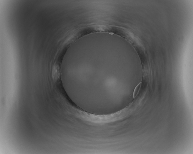 X0000112950043200908311518