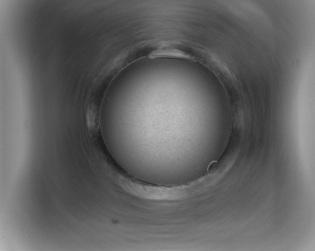 X0000112950044200908311518