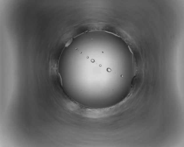 X0000112950045200908311518