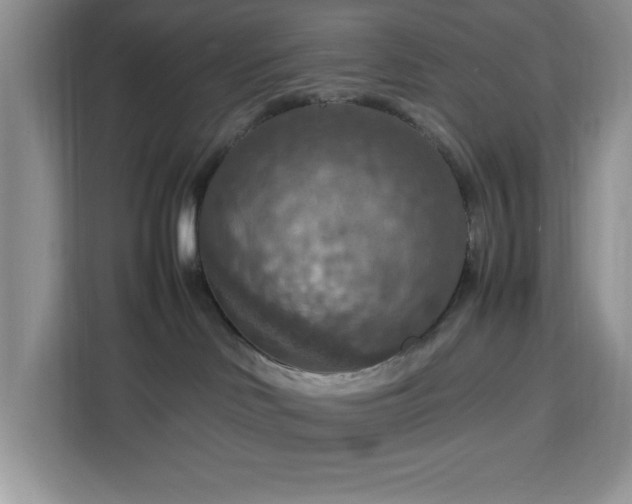 X0000112950046200908311518