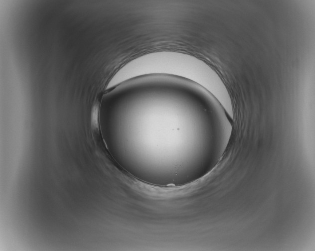 X0000112950047200908311518