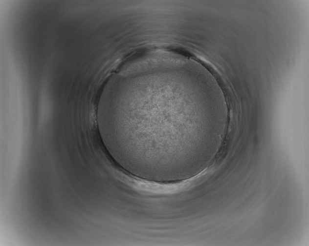 X0000112950048200908311518