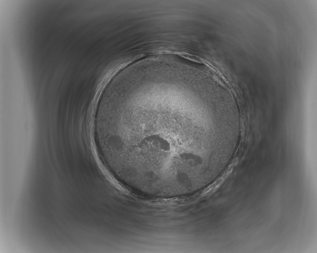 X0000112950049200908311517