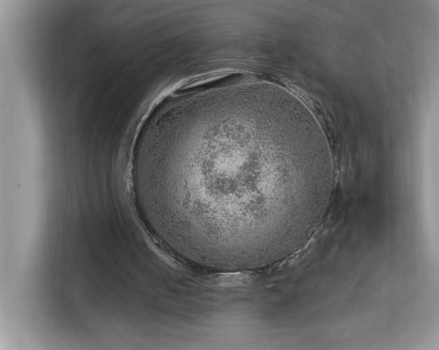 X0000112950050200908311517