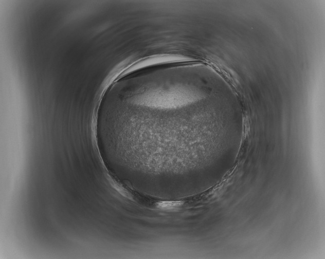 X0000112950051200908311517