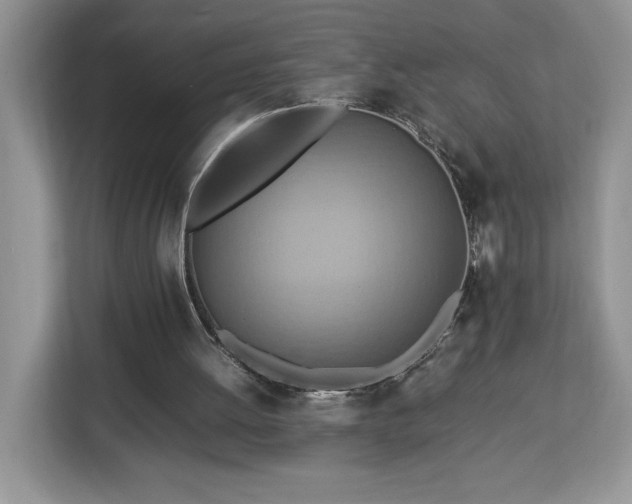 X0000112950052200908311517