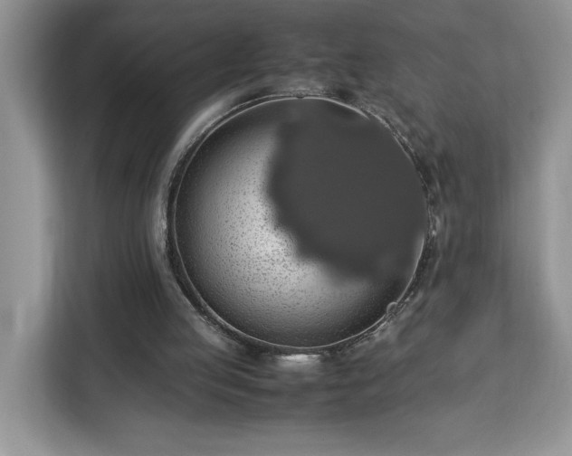 X0000112950053200908311517