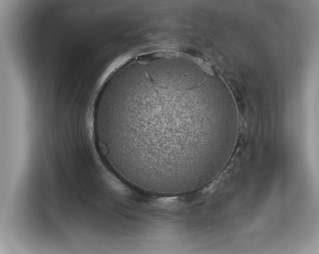 X0000112950054200908311517