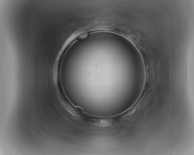 X0000112950056200908311517