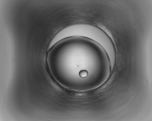 X0000112950057200908311517