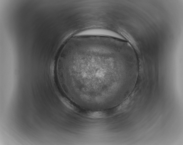 X0000112950058200908311517