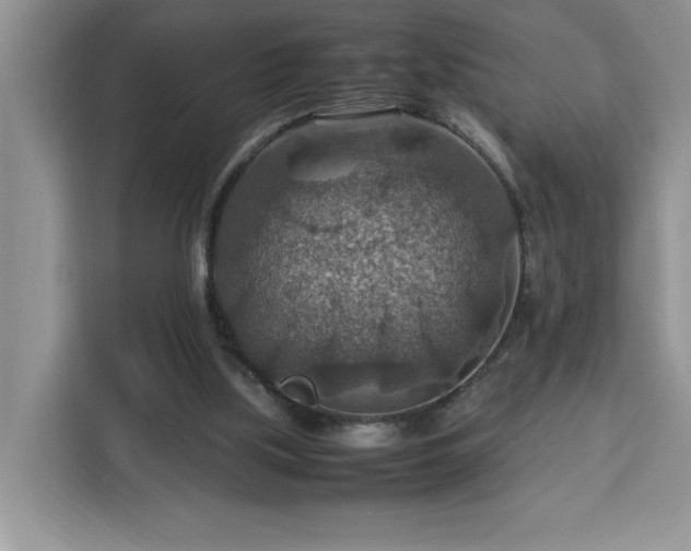 X0000112950059200908311517